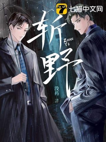 斩野小说评价